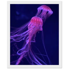 c067efa3-3dbb-40e1-a7a6-8461cb0b1362